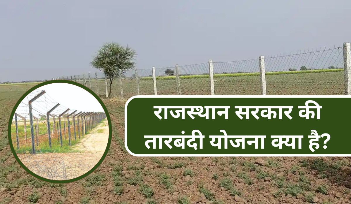 tarbanid yojna rajasthan